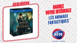 Gagnez votre intégrale "Les animaux fantastiques"